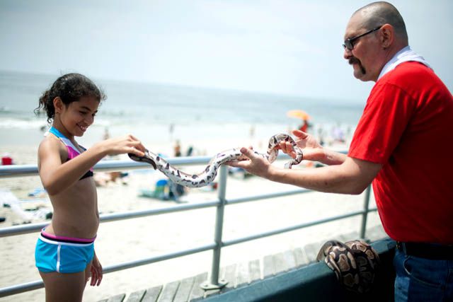 (Photo by Katie Sokoler/Gothamist)HANG WITH LOCALS: There are plenty of characters at Rockaway. For example: this guy, Joe, who likes to bring his (harmless) pet ball pythons, Zool, Crush and Squeeze, out on the boardwalk for kids to play with. Seriously. 